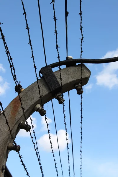 Колючий дріт в Освенцімі — стокове фото