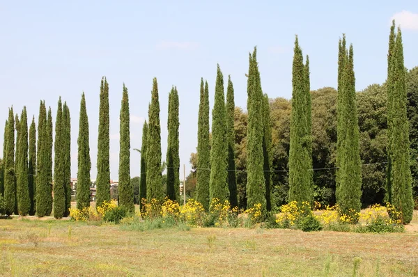 Классический тосканский пейзаж — стоковое фото