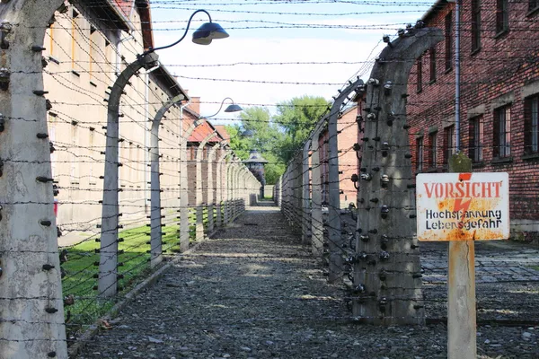Auschwitz'de dikenli tel — Stok fotoğraf