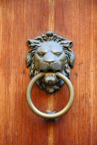 Lion head knocker — Stock Photo, Image
