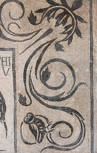 Starożytne rzymskie mozaiki — Zdjęcie stockowe
