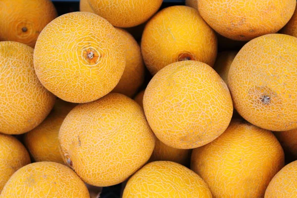Fresh yellow melons — Stock Photo, Image