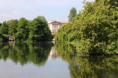 Buckingham Sarayı'ndan st james park