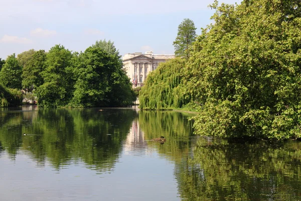Buckinghamský palác ze st james park — Stock fotografie