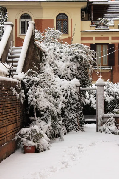 Backyard under snow — Stock Photo, Image