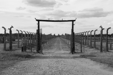 Auschwitz Birkenau'dan bir resim