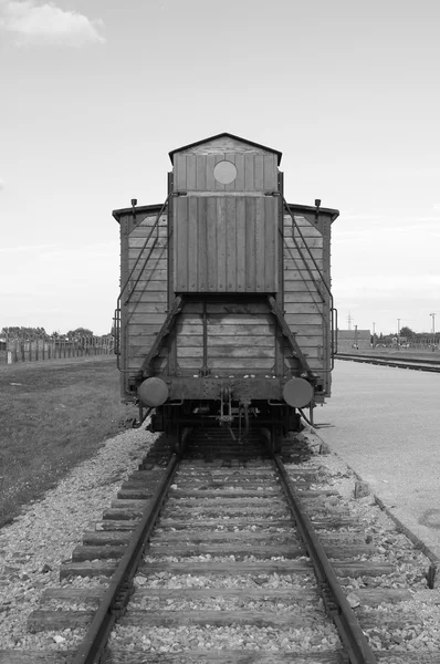 stock image Deportation wagon at Auschwitz Birkenau