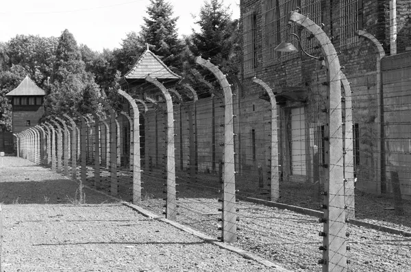 Колючая проволока в Освенциме — стоковое фото