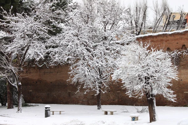 Vinter snö i park — Stockfoto