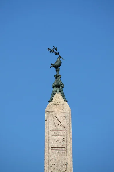 O pombo da Praça Navona — Fotografia de Stock