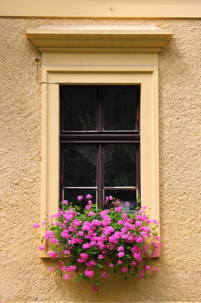 Renässansens fönster med blommor — Stockfoto