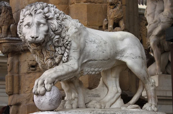 フィレンツェのライオン — ストック写真