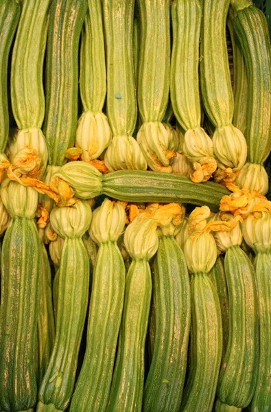 Zucchinis med blommor — Stockfoto