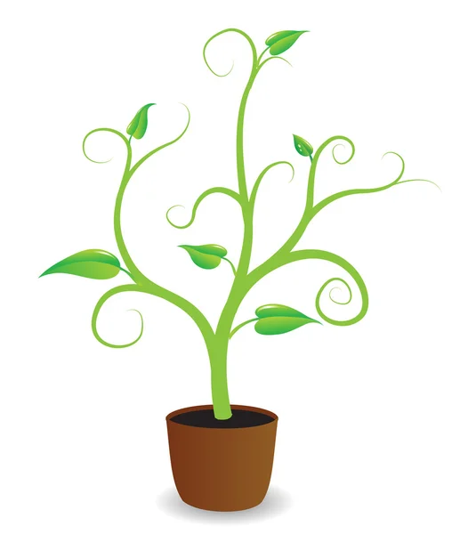 Egy cserepes növény nőni kezd. — Stock Vector
