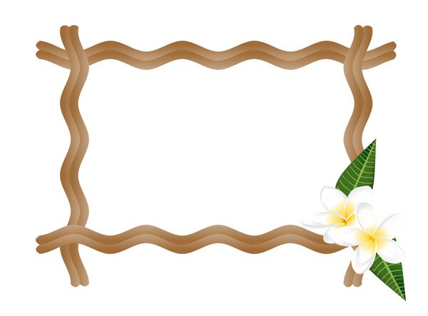 Frame with frangiapani flowers