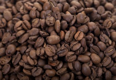 Coffee beans clipart