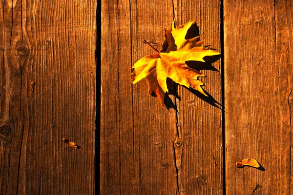 Yellow wet autumn leaves on the background a dark old wood — Stock Photo, Image