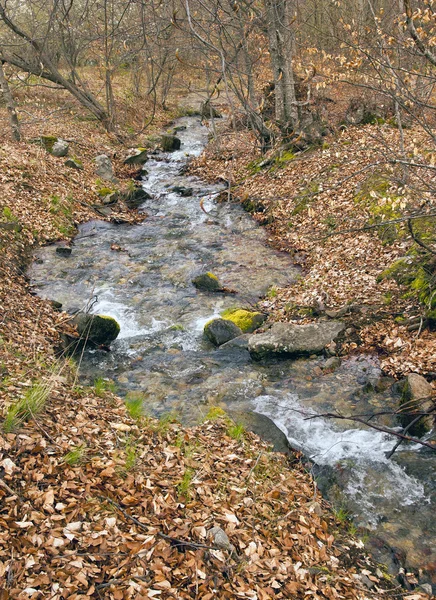 stock image autumn forest landscape and river in