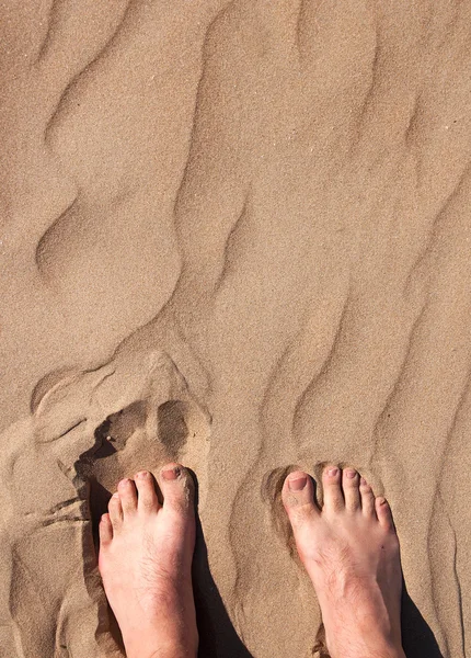 stock image Male legs in hot sand