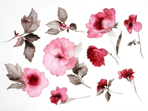 Virágok Stock Kép