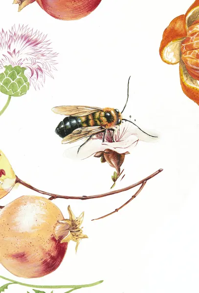 Цветы и пчелы — стоковое фото