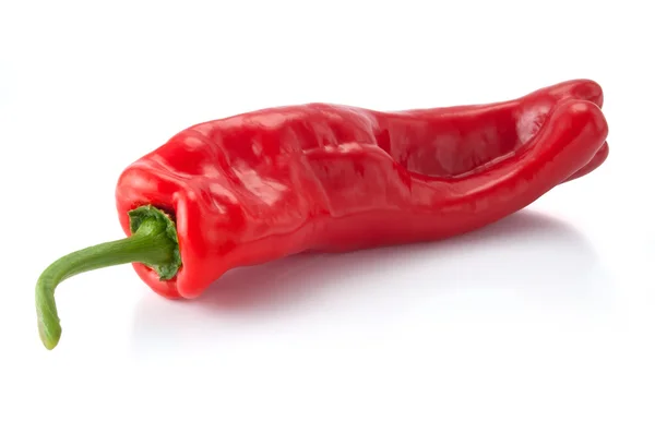 stock image Isolated red pepper