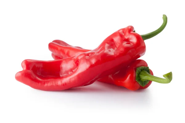 stock image Two red pepper