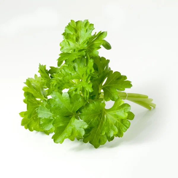 Isolated parsley — Stock Photo, Image