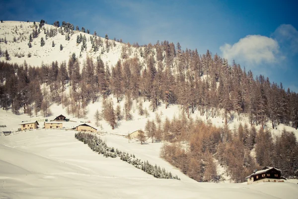 Зима и Альпы (Livigno & Foscagno ) — стоковое фото