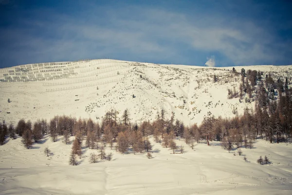Kış ve Alpler (Livigno ve Foscagno) — Stok fotoğraf