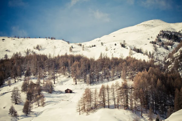 Inverno & Alpi (Livigno & Foscagno ) — Foto Stock