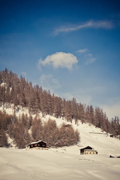 Χειμώνα & Άλπεις (Livigno & Foscagno) — Φωτογραφία Αρχείου