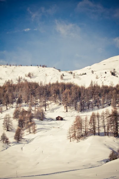 Inverno & Alpi (Livigno & Foscagno ) — Foto Stock