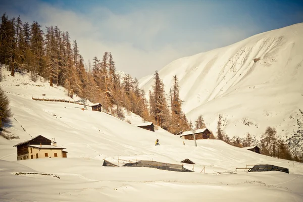 Зимовий & Альп (Livigno & Foscagno) — стокове фото