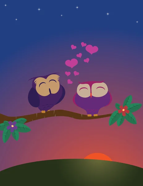 Owls_love — Stockový vektor