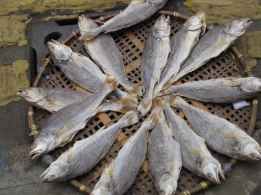 Dried fish at the Asian Hong Kong market clipart