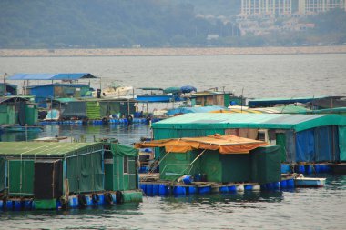 hong Kong kayan balıkçı köyü