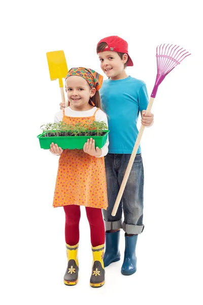 Kids ready to plant tomato seedlings in the spring — Stock Photo, Image
