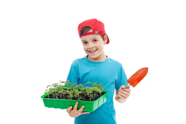 Chlapec s Sazenice rajčat v zásobníku a malé zahradní rýč — Stock fotografie
