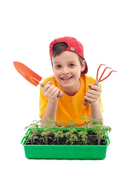 Ung pojke att lära sig att odla mat Stockbild