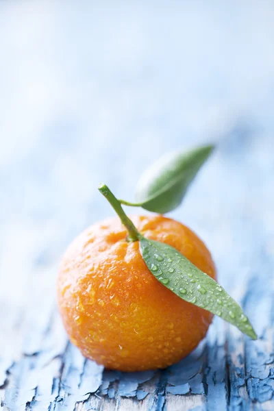 Oranges — Stock Photo, Image