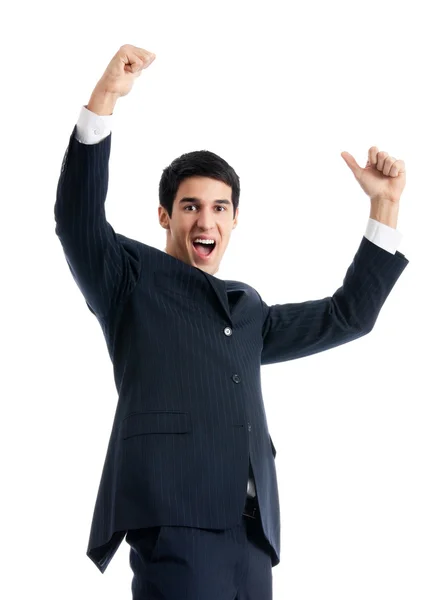 Happy gesturing businessman, isolated Royalty Free Stock Images