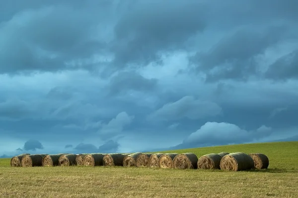 Silage in meadow — Stock Photo, Image