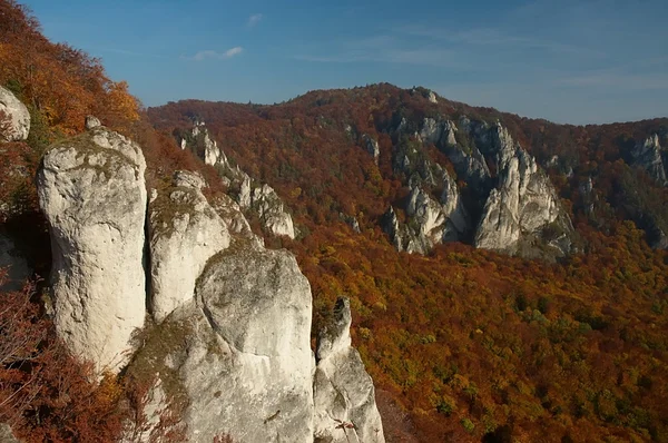 Outono em Sulov rock Eslováquia — Fotografia de Stock