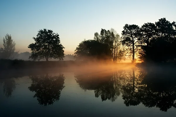 Morning dawn — Stock Photo, Image