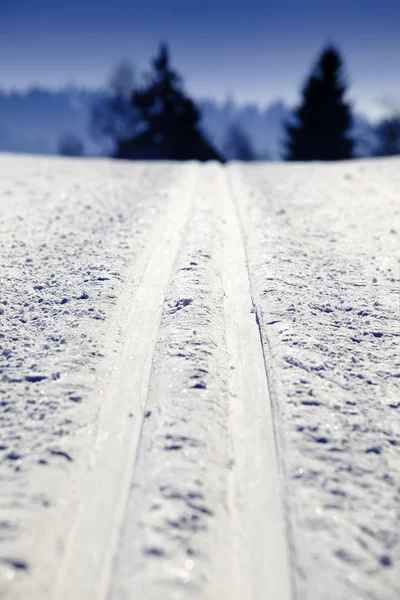 空的越野滑雪赛道 免版税图库照片