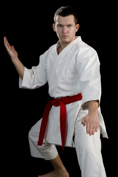 Contrast karate young fighter on black — Stock Photo, Image