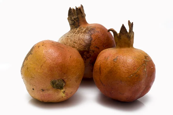 stock image Wild pomegranate