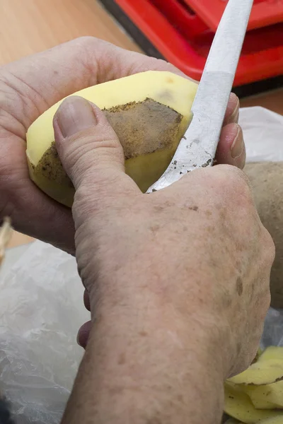 stock image Potato