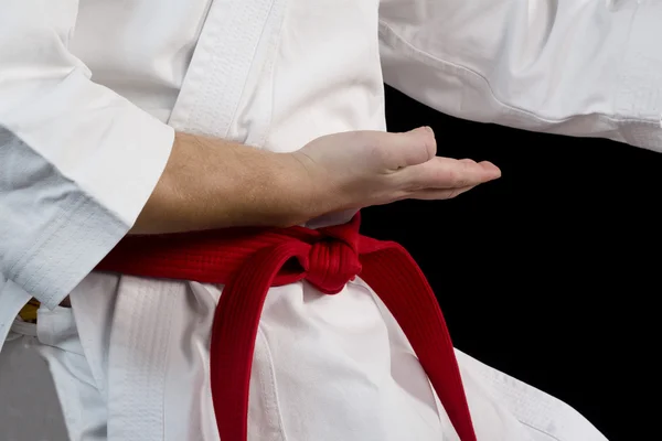 Hand vechter karate — Stockfoto